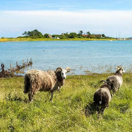 20313-samso-orby-hovedgade-53 Сasa de vacaciones